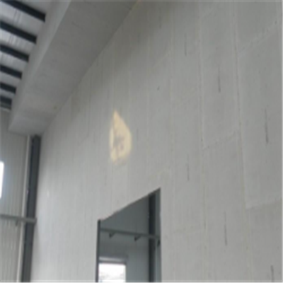 林州宁波ALC板|EPS加气板隔墙与混凝土整浇联接的实验研讨